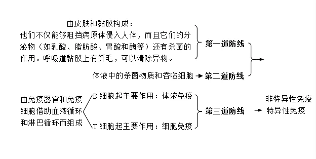 EVA泡棉厂家