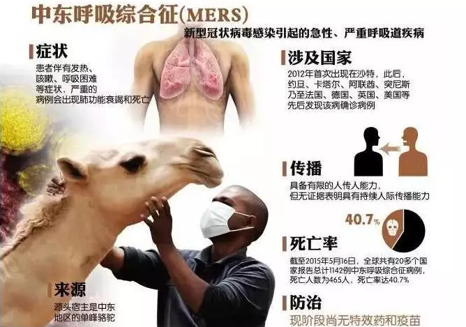 EVA泡棉厂家